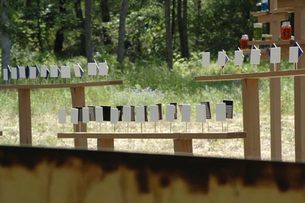 MarkshmanChallenge0170