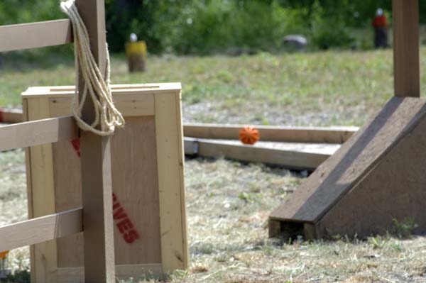 MarkshmanChallenge0203